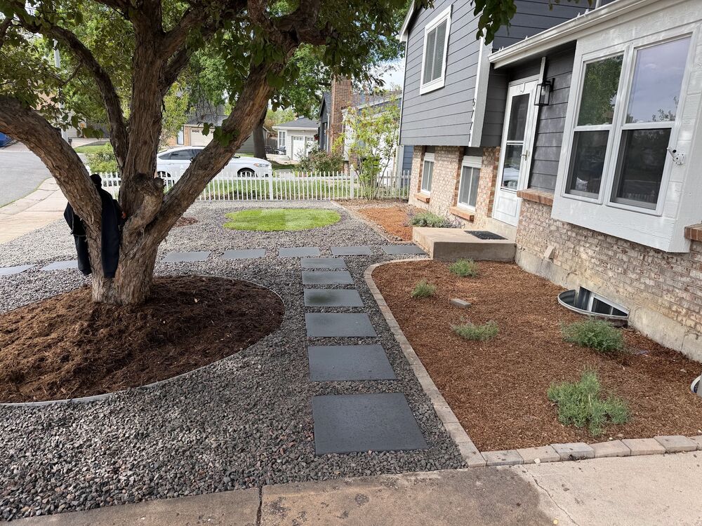 Xeriscape beds with stepping stones around mature tree